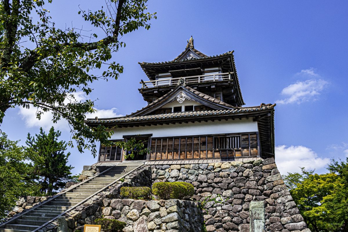 木々の梢ごしに見上げた丸岡城の天守