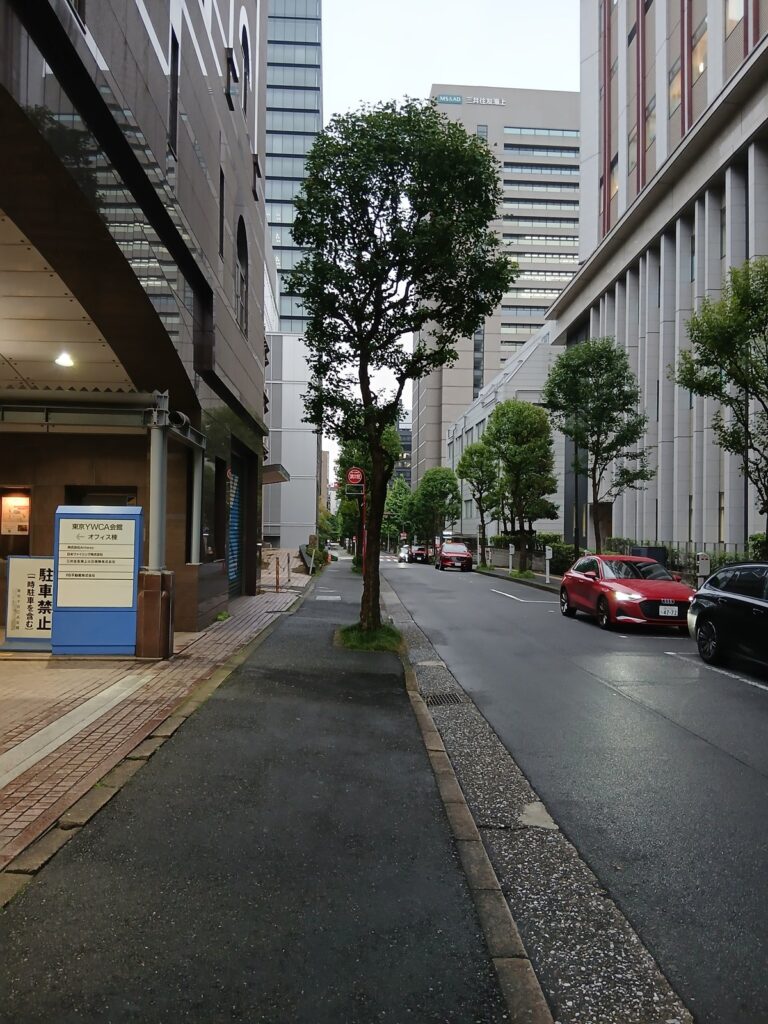 生誕地のあたりの通り