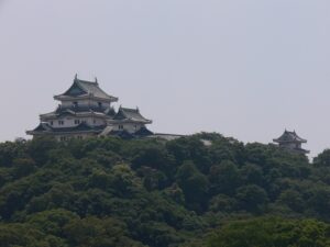 和歌山城の天守を遠くから望む