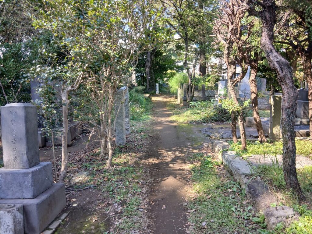 雑司ヶ谷霊園の墓所のあいだの小道