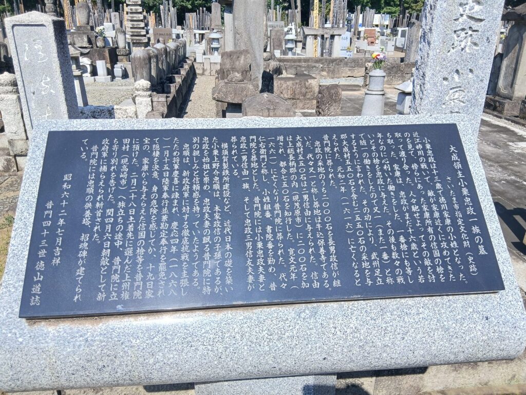 大成領主小栗忠政一族の墓の説明板