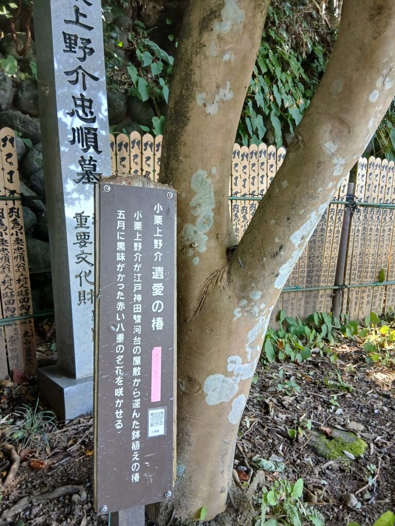 小栗上野介忠順の墓 首を取り戻して葬った「本墓」