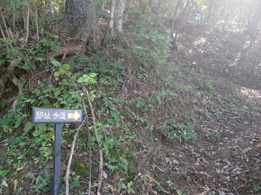 観音山への登り方 歩きか、車か
