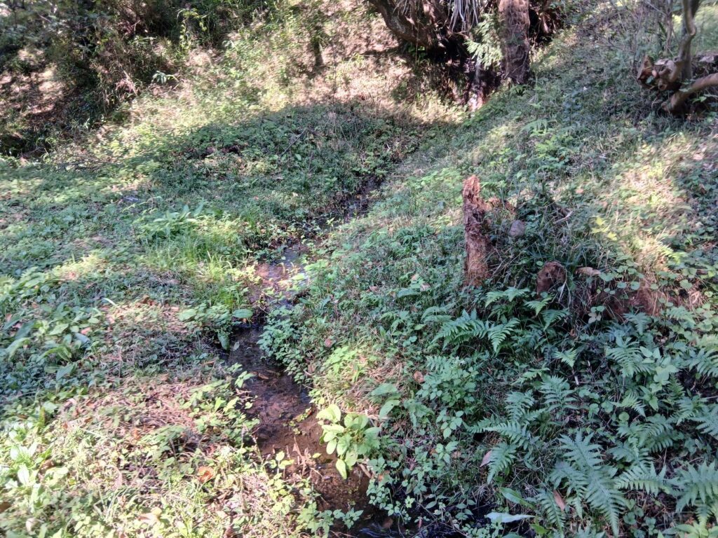 人工的な小水路 小高用水の名残か