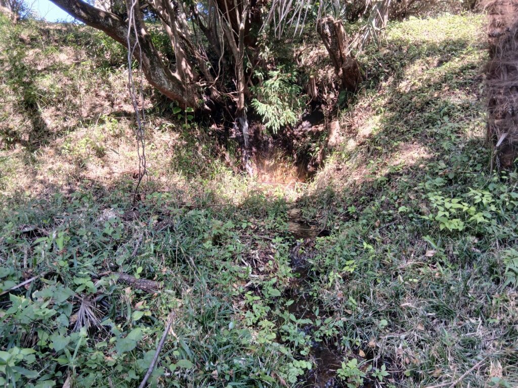 人工的な小水路 小高用水の名残か