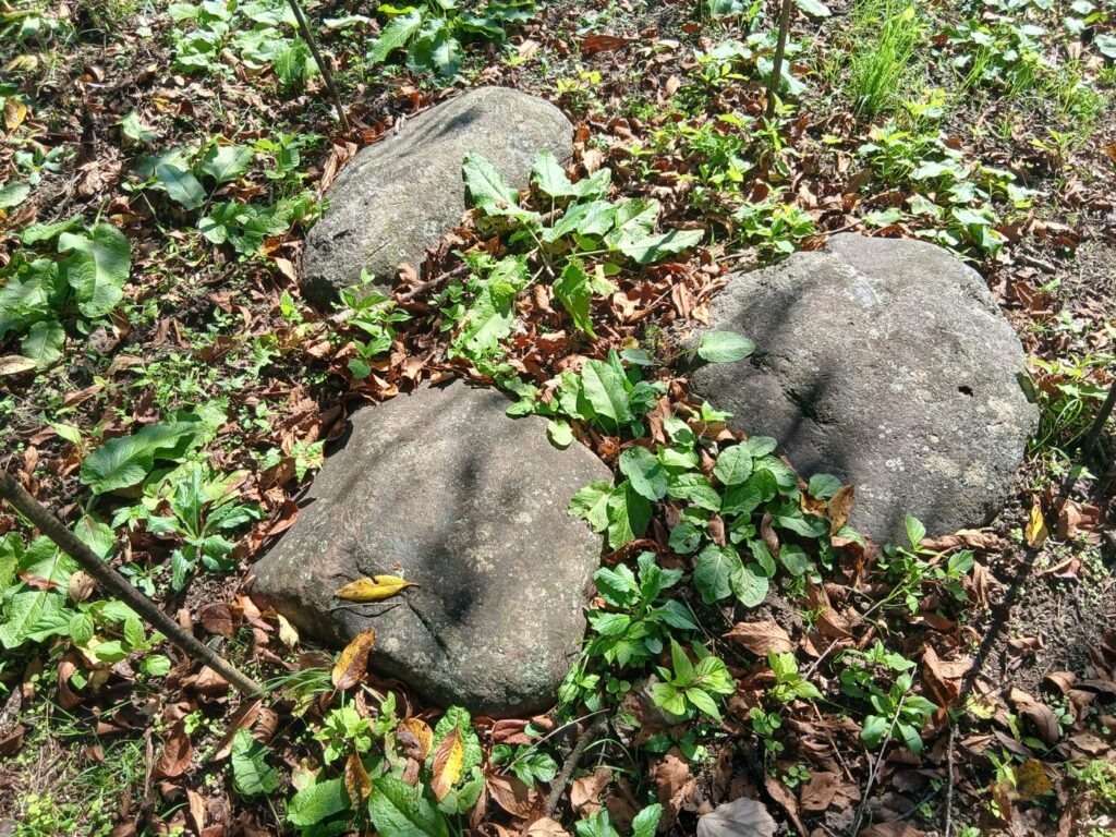 人工的な小水路 小高用水の名残か