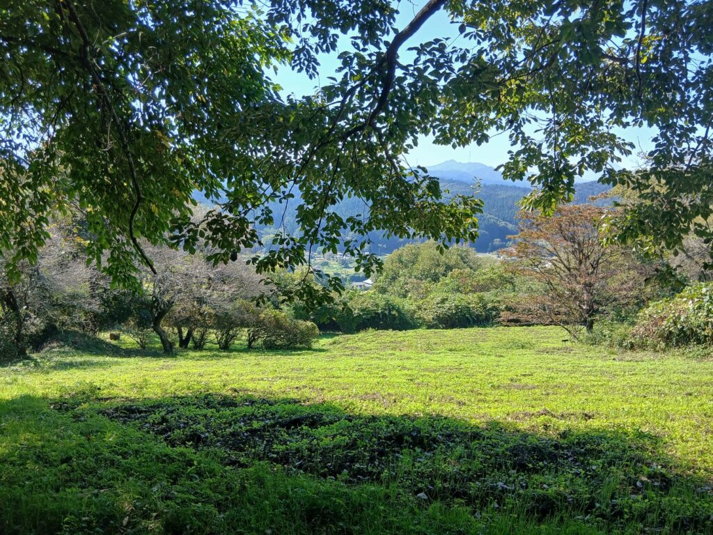 人工的な小水路 小高用水の名残か