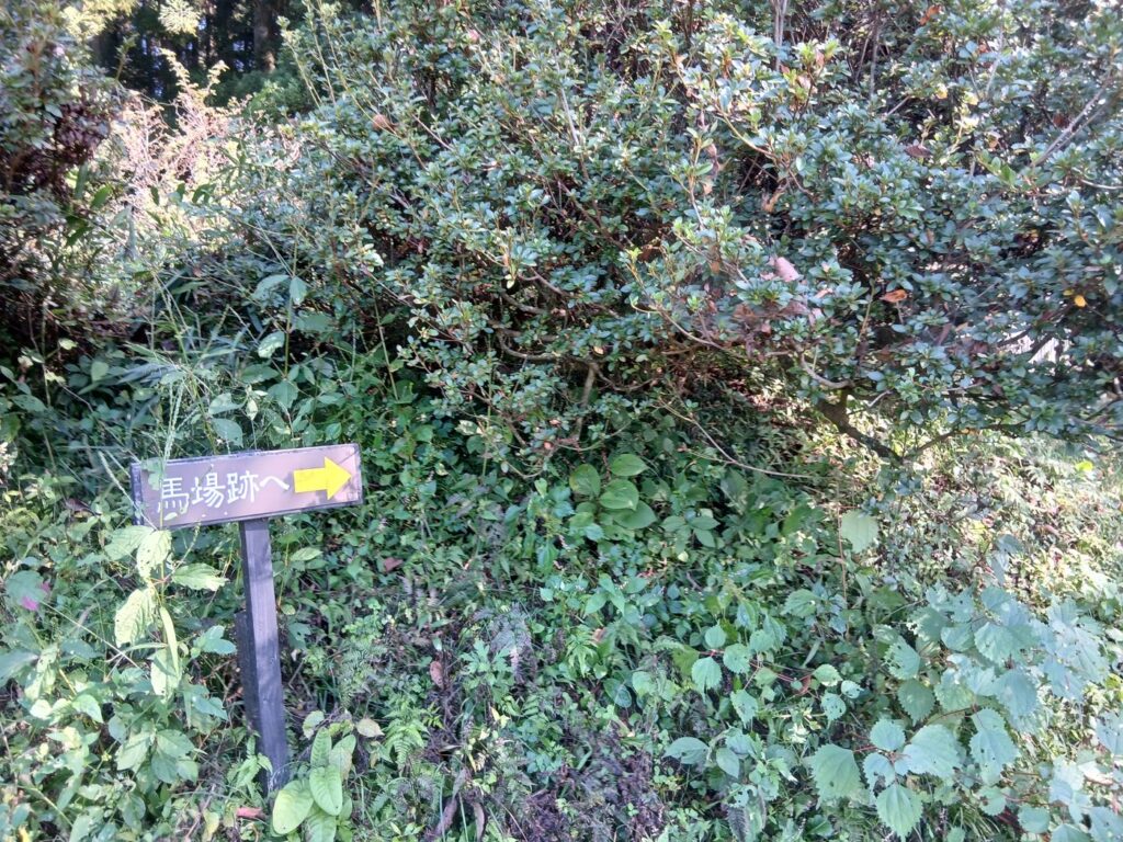 人工的な小水路 小高用水の名残か