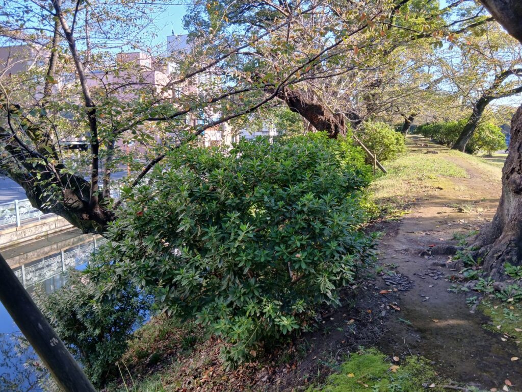 高崎城跡 小栗父子の捕縛にかかわった藩の城