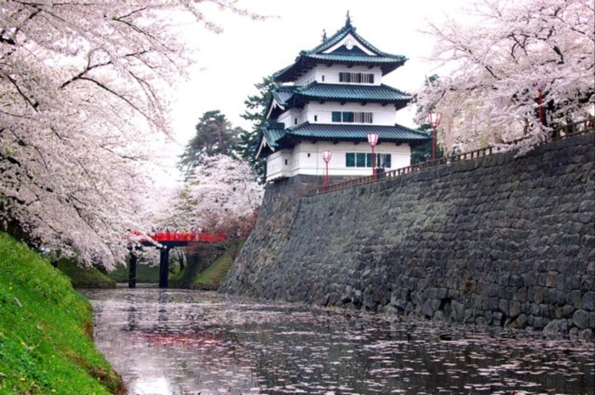 弘前城 桜と石垣に囲まれた天守