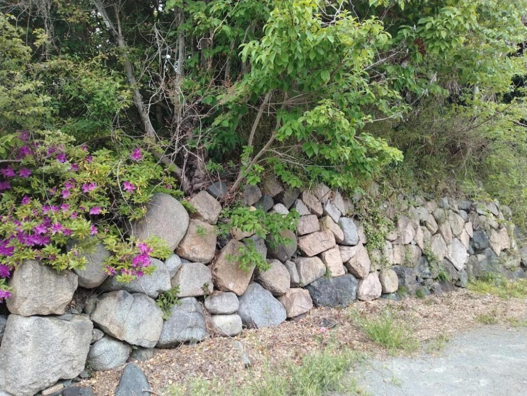 磐城平城跡に残る石垣の一部