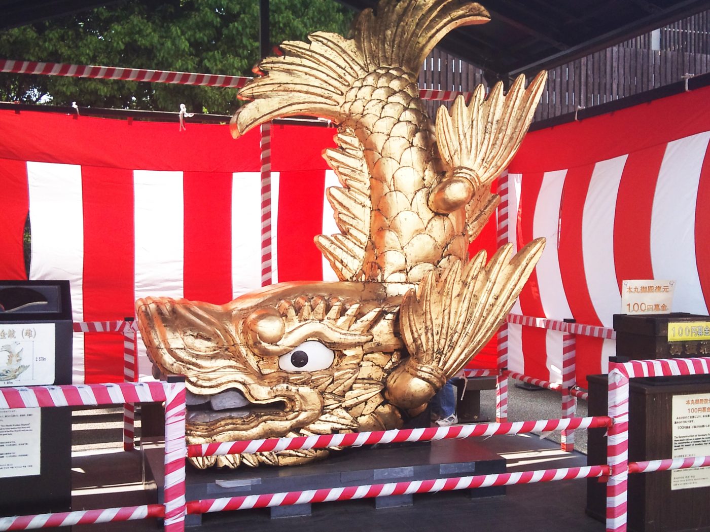 地上に降ろされて展示された名古屋城の金鯱