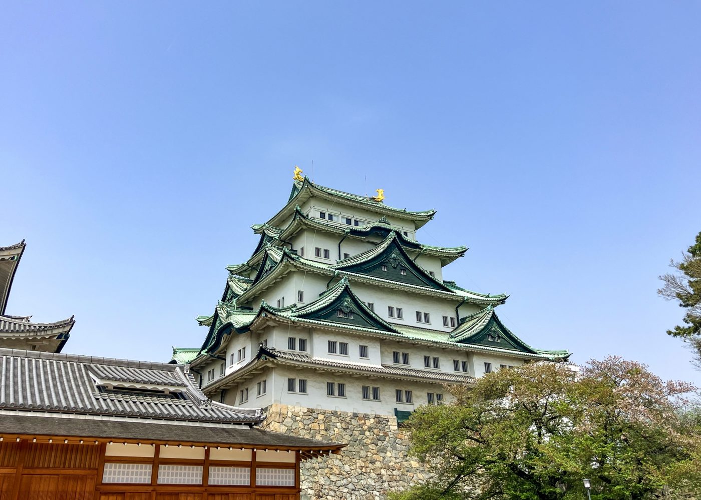 名古屋城の天守