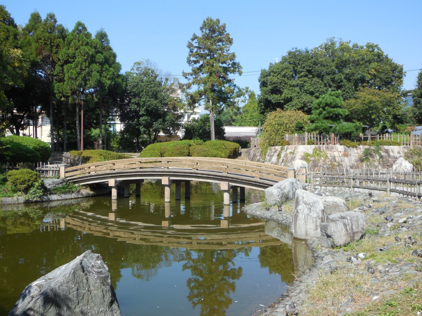高槻城跡公園の池と太鼓橋